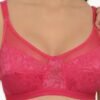 PINK BRA FANCY